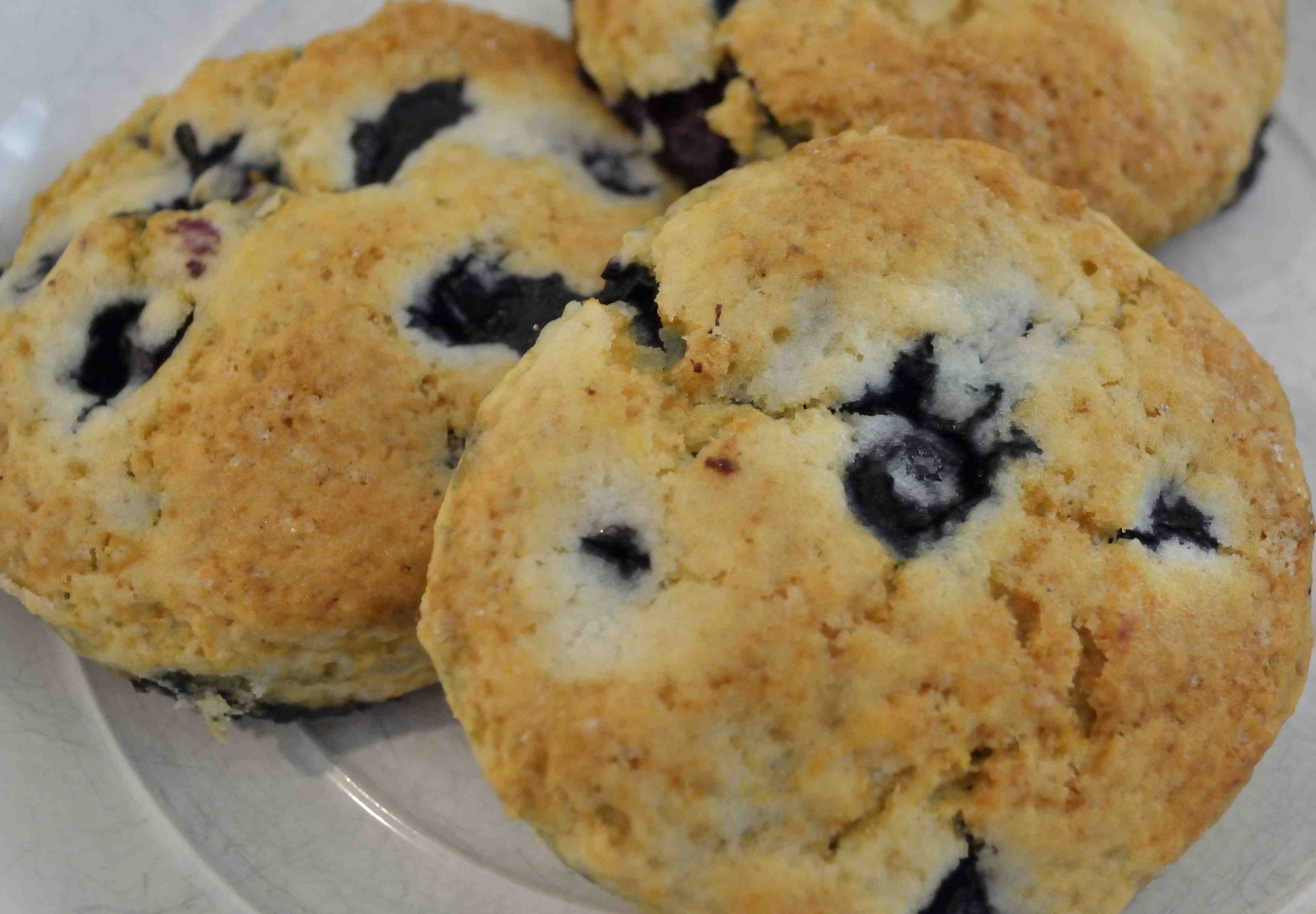 scones_bleuets.jpg